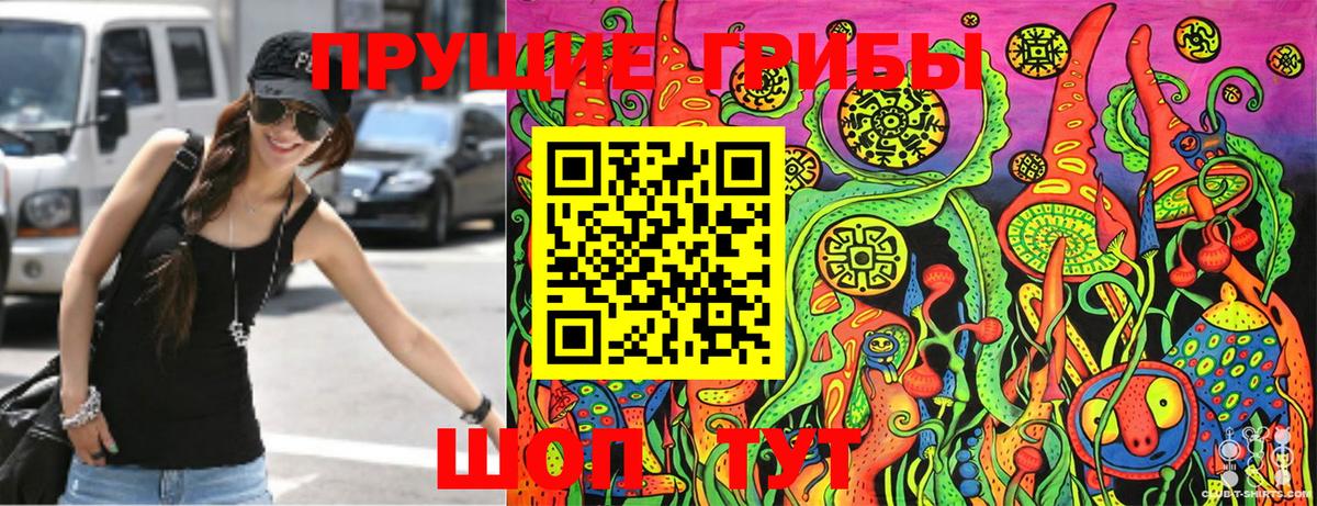 Псилоцибиновые грибы Cubensis Балашов