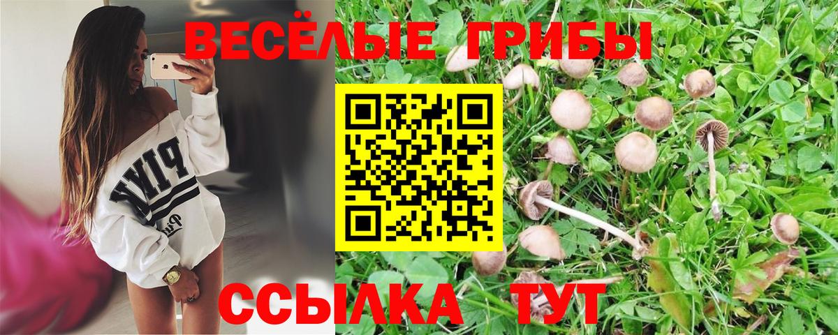 где можно купить   Галлюциногенные грибы GOLDEN TEACHER  Псилоцибиновые грибы Magic Shrooms  Вход с VPN  Балашов 